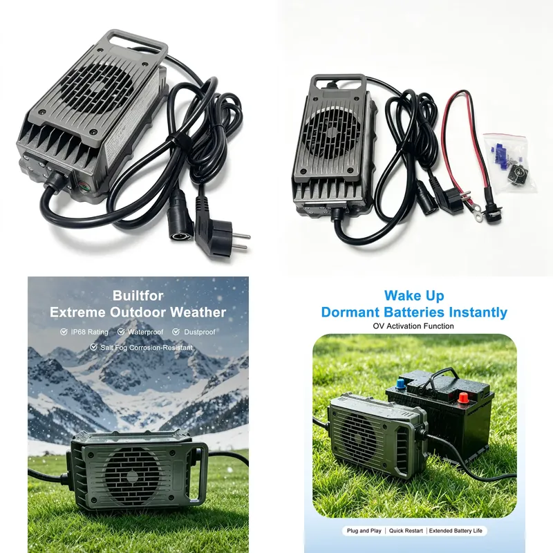 전동 서핑보드 충전기 Efoil LNLEE 50.4V  - 84V 20A Smart Charger 리뷰 및 가격