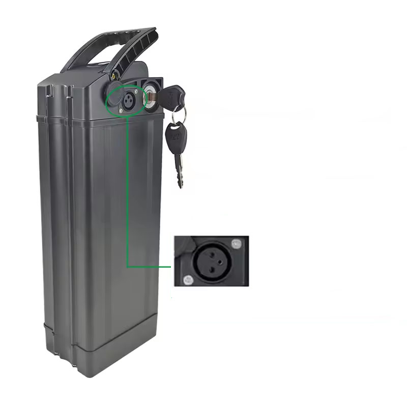 실버피쉬 전기자전거 배터리, 48V, 20Ah, 30A - 60V 50Ah Electric Scooter Battery 리뷰 및 가격